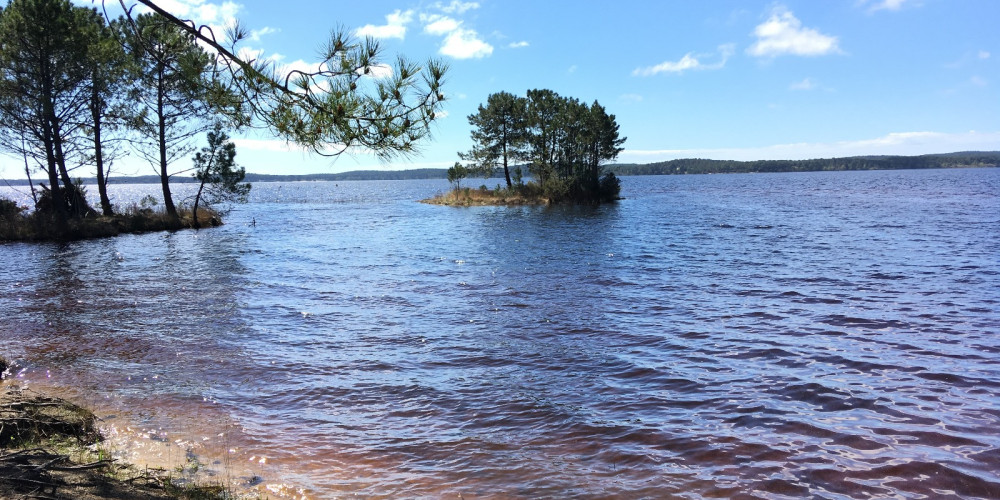 maison à LEGE CAP FERRET (33970)